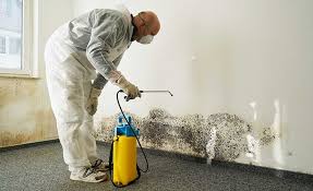 Why You Should Choose Our Mold Remediation Services in La Croft, OH