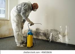 La Croft, OH Mold Inspection Company